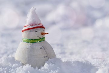 Idées de costumes de flocons de neige
