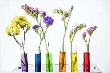 Idées pour un projet de foire scientifique sur la façon dont les différents liquides affectent la croissance des plantes.