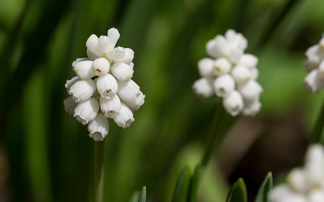 Comment faire ma propre ligne de parfum avec la formation de formation