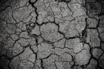 Comment poncer les planchers avec une ponceuse à main