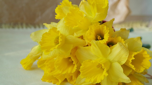 Qu'arrive-t-il aux fleurs après les funérailles ?