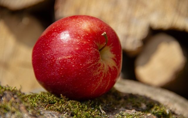 Alimentation saine pour une thyroïde sous-active