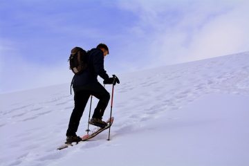 Causes du pâle, des tabourets légers et de la fatigue pendant des semaines.