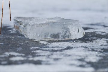 Comment démarrer une patinoire de patinage à roulettes