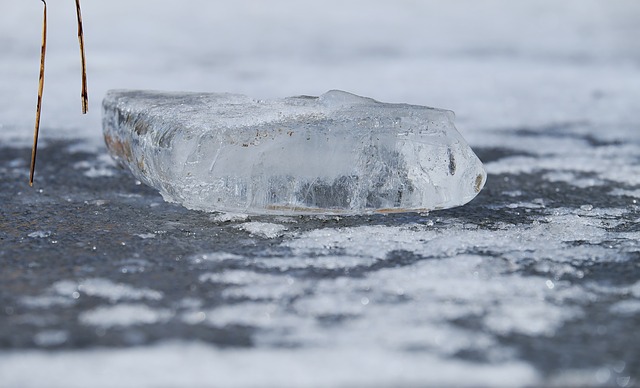 Comment démarrer une patinoire de patinage à roulettes