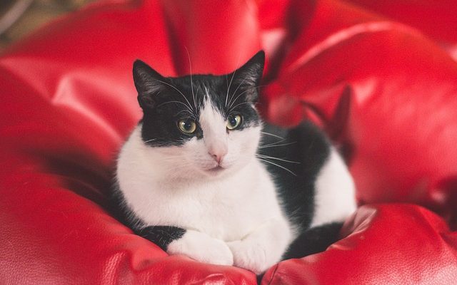 Comment fabriquer un pouf tissé