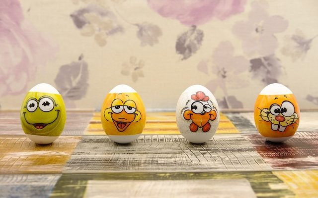 Comment prendre soin des œufs de canard abandonnés