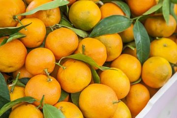 Comment sécher les écorces d'orange au four ?