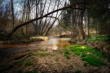 Comment sécher rapidement le bois de chauffage