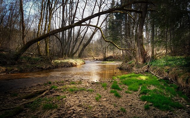 Comment sécher rapidement le bois de chauffage