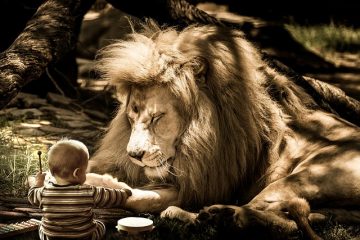 Comment utiliser la tonalité de cheveux pour enlever le laiton.