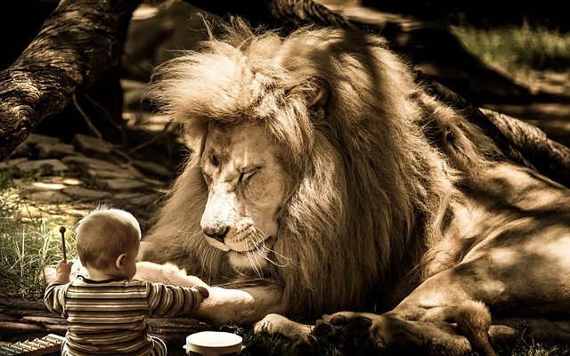 Comment utiliser la tonalité de cheveux pour enlever le laiton.