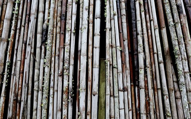 Différence entre Reed Bambou clôture en bambou