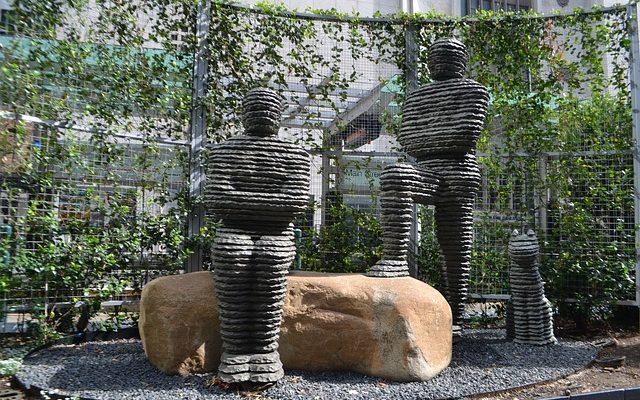 Les meilleurs arbres à planter dans un sol argileux