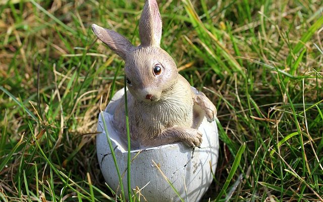 Quelle est la durée de vie d'un lapin domestique ?