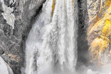 Qu'est-ce qui tue les Pseudomonas dans une piscine ?