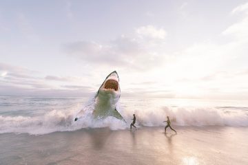 Shark Steam Mop ou H2O Mop H2O Mop