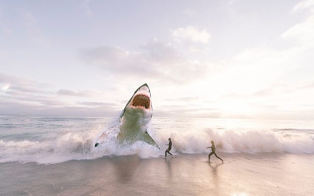 Shark Steam Mop ou H2O Mop H2O Mop