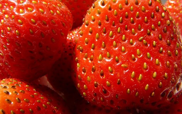 Variétés de fraises avec des fleurs roses