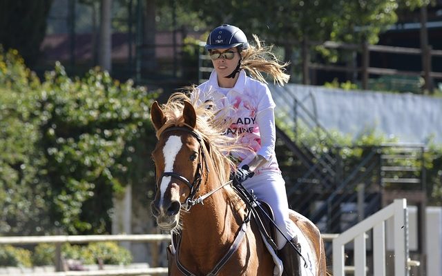 Comment commencer un cheval au-dessus des clôtures