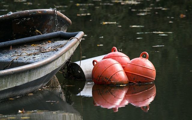 Comment conserver le poisson dans des contenants en plastique