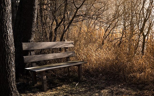 Comment construire un banc en bois