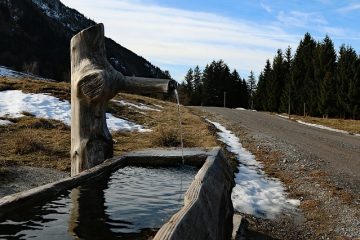 Comment construire une mangeoire à gueule de chevreuil