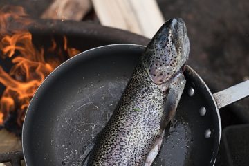 Comment cuire le saumon poché