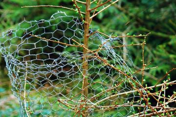 Comment faire une couronne en maille décorative