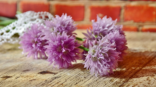 Comment tuer les plants de ciboulette