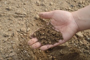 La levure accélère-t-elle les piles de compost ?