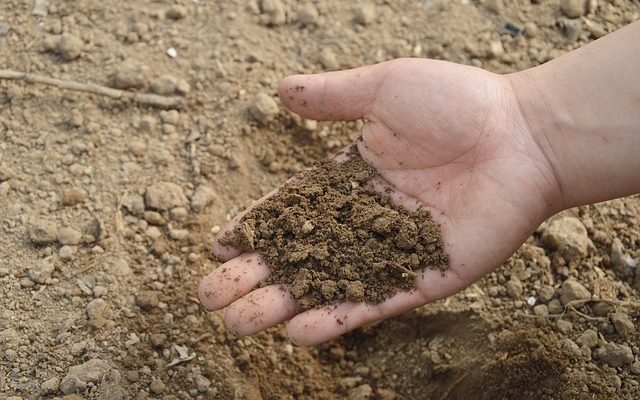 La levure accélère-t-elle les piles de compost ?