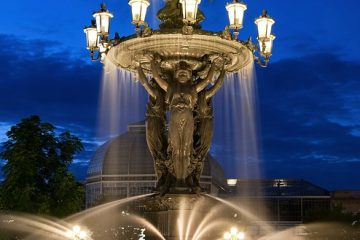 L'eau des piscines tuera-t-elle un arbre ?