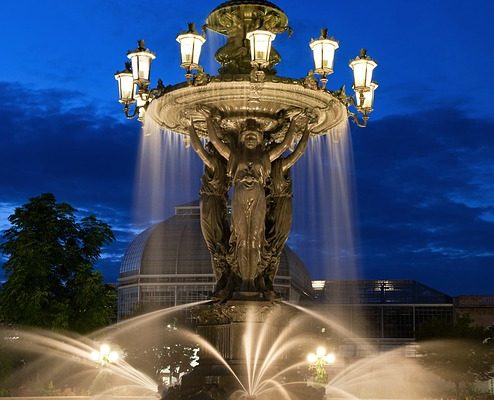 L'eau des piscines tuera-t-elle un arbre ?