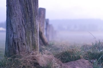 Réparation d'un poteau de clôture brisé