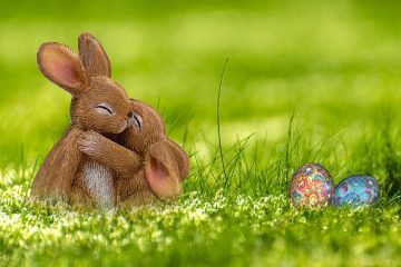 Signes de vieillesse chez les lapins