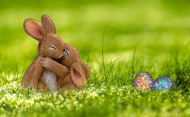 Signes de vieillesse chez les lapins