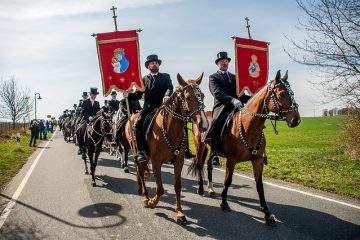 Signes symptômes de problèmes de foie chez les chevaux