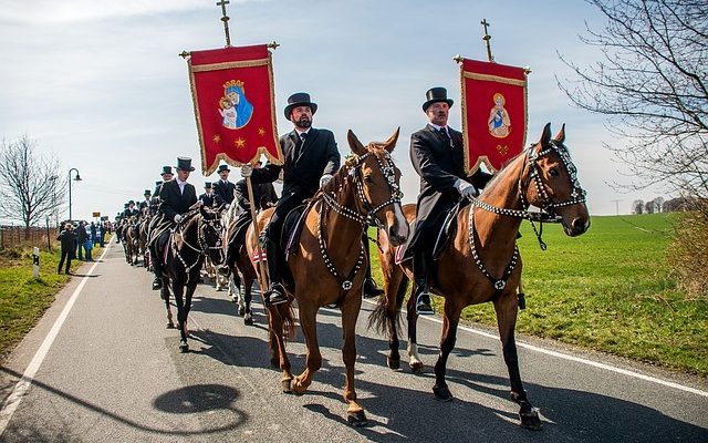 Signes symptômes de problèmes de foie chez les chevaux