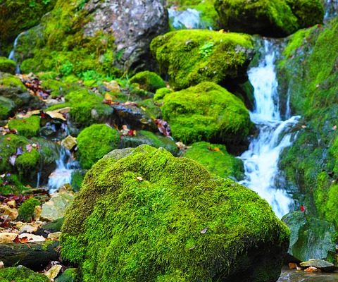 Symptômes de lésions nerveuses surnaturelles