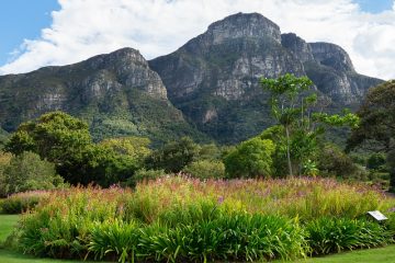 Comment créer un jardin zen en galets