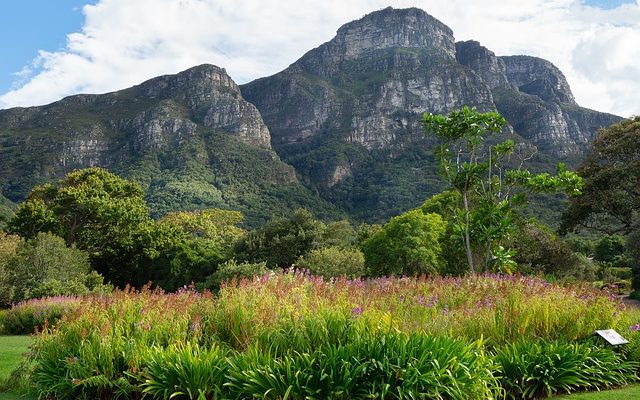 Comment créer un jardin zen en galets