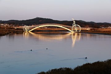 Comment faire de la teinture capillaire à partir de coquilles de noix de noyer