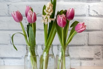 Comment faire des ornements d'oeufs matelassés faits à la main.