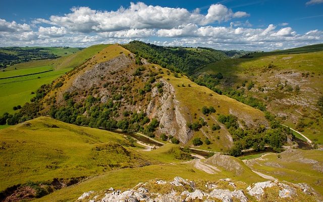 Comment identifier le Staffordshire Chine