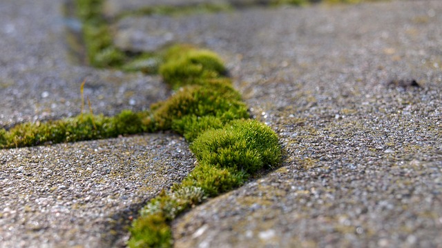 Comment isoler un plancher de béton