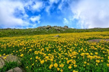 Comment peindre les nuages d'orage