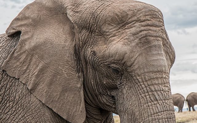 Comment se débarrasser des rides au-dessus de la lèvre ?