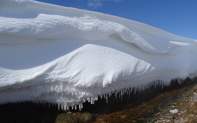 Des moyens naturels d'arrêter les puits de carbone