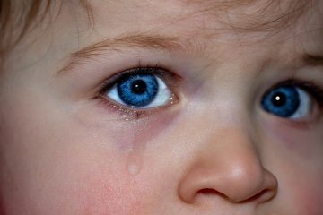 Idées pour une exposition sur les sentiments des enfants d'âge préscolaire.